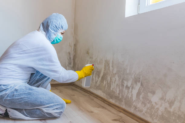 Mold Remediation specialist working in Roseland